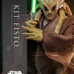 Kit Fisto 32 cm