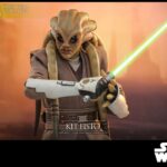 Kit Fisto 32 cm