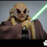 Kit Fisto 32 cm