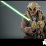 Kit Fisto 32 cm