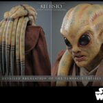 Kit Fisto 32 cm