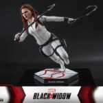 Black Widow Snow Suit