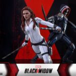 Black Widow Snow Suit