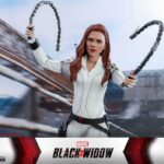 Black Widow Snow Suit