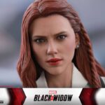 Black Widow Snow Suit