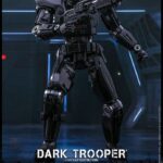 Dark Trooper 32 cm